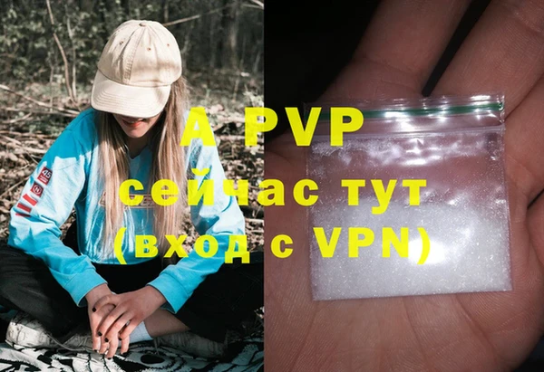 сатива Осташков