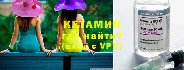 сатива Осташков