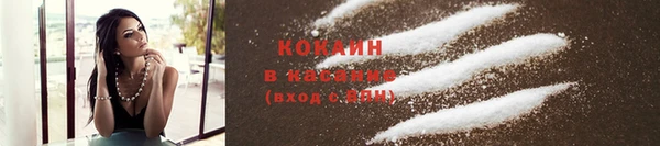 сатива Осташков