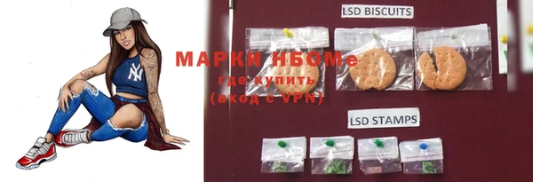 сатива Осташков