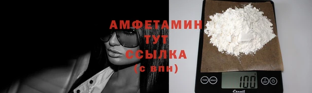 сатива Осташков