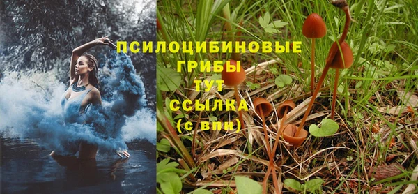 круглые Нягань