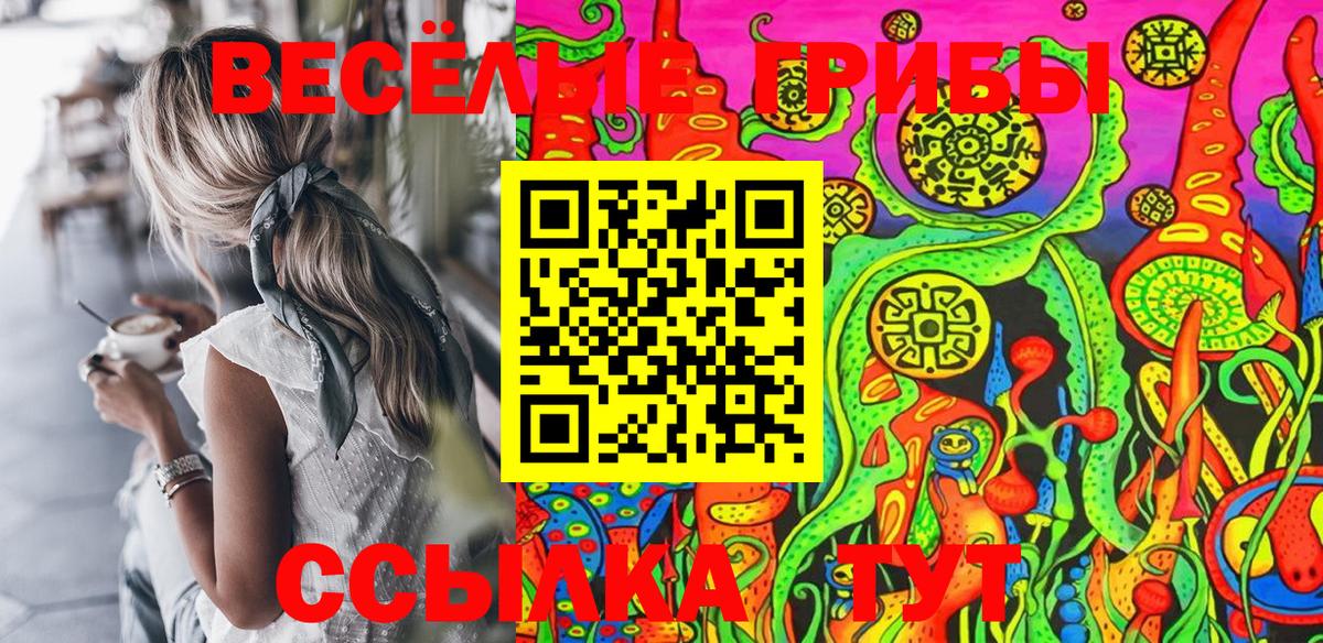 сколько стоит  Борзя  Галлюциногенные грибы Magic Shrooms 