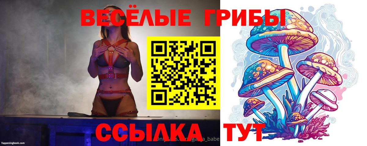 Галлюциногенные грибы Psilocybe  Вход с VPN  Псилоцибиновые грибы мицелий  Борзя 