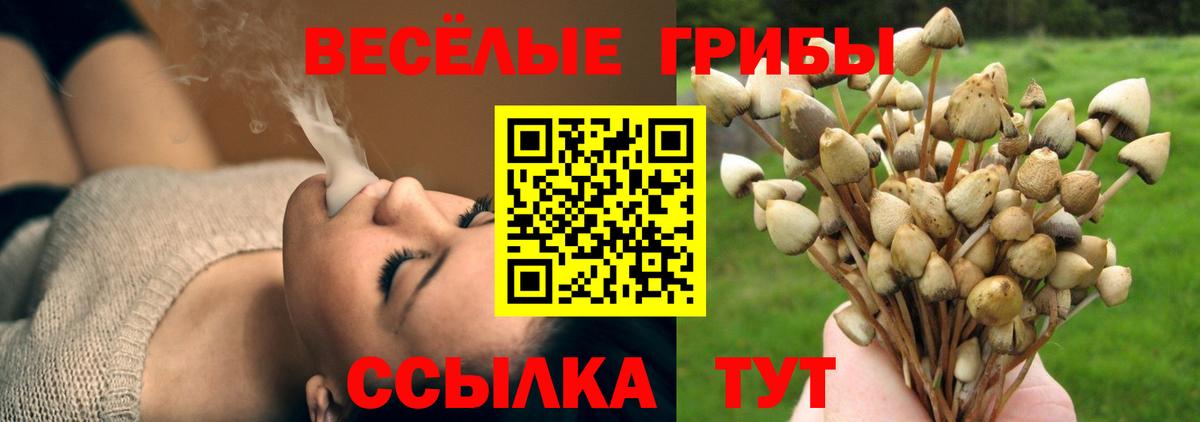 Марихуана Борзя