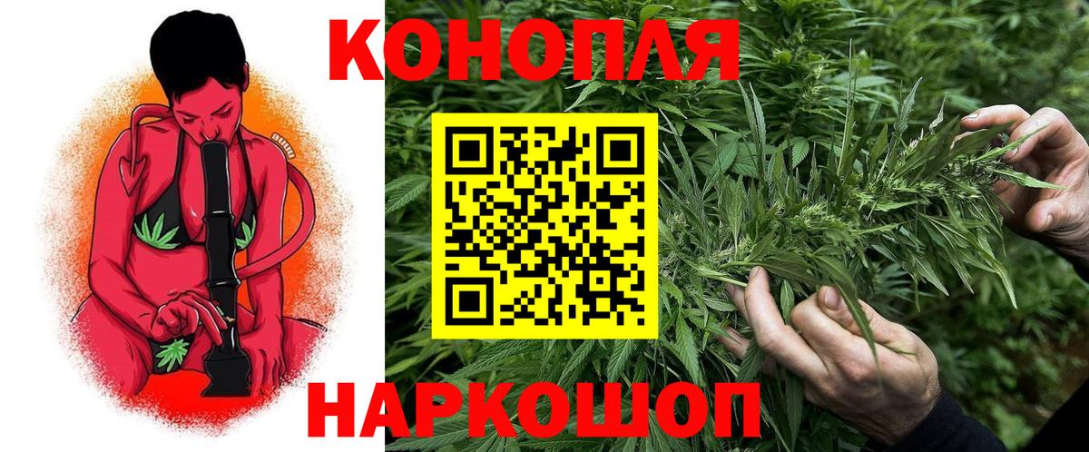 Бошки марихуана марихуана Борзя